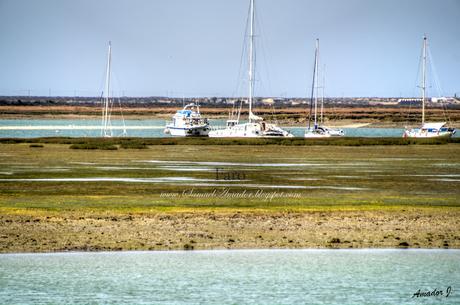 FARO (ALGARVE PORTUGUÉS)