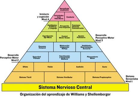 piramide-desarrollo- williams-shellemberger