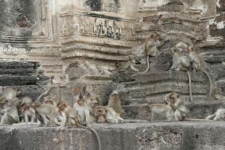 El templo de los monos