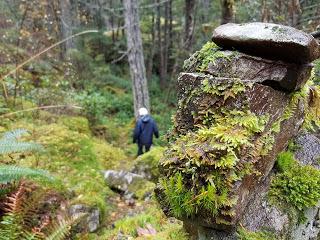 AL MONTE AUNQUE LLUEVA