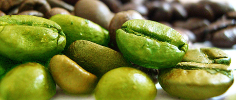 Café, un fruto con abundante cafeína Café, un fruto con abundante cafeína