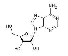 Estructura de la adenosina adenosina