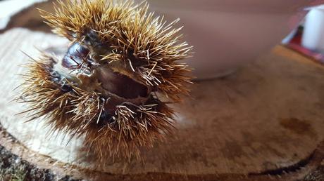 EL ARTE DEL BUEN COMER gOtta, el nuevo restaurante de Tierra del Agua