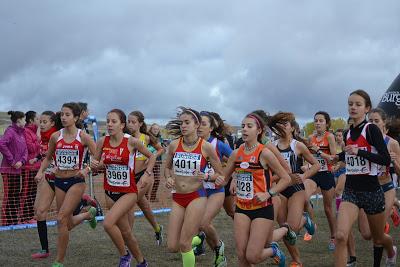 XIII CROSS INTERNACIONAL DE ATAPUERCA