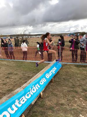 XIII CROSS INTERNACIONAL DE ATAPUERCA