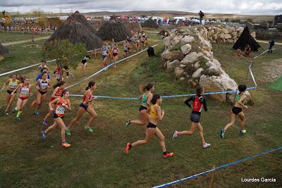 XIII CROSS INTERNACIONAL DE ATAPUERCA