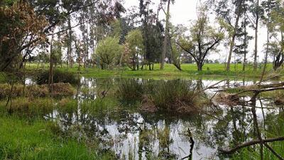 RESERVA VAN DER HAMMEN SU BOSQUE DE LAS LECHUZAS Y UNA AGUDA POLÉMICA POR UNA FOTOGRAFÍA