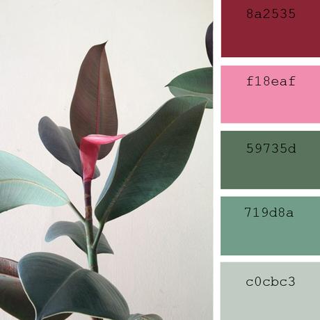 Colores PANTONE: 