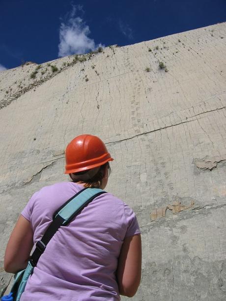 15 imágenes curiosas que posiblemente no habías visto antes linea-vertical-en-la-costa