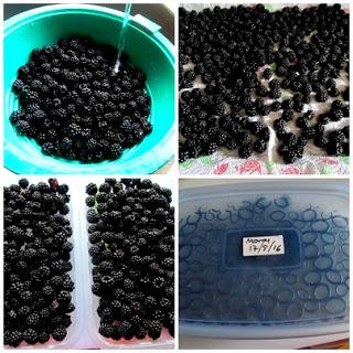 Bizcocho exprés de moras con harina de castañas y sarracena, sin gluten y sin lactosa