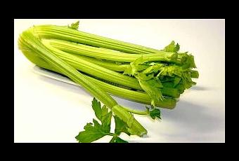 medicamentos naturales para bajar de peso sin rebote medicamentos naturales para bajar de peso sin rebote