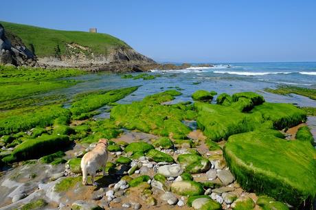 CANTABRIA NO ES SANTANDER....SANTANDER ES CANTABRIA CANTABRIA NO ES SANTANDER....SANTANDER ES CANTABRIA