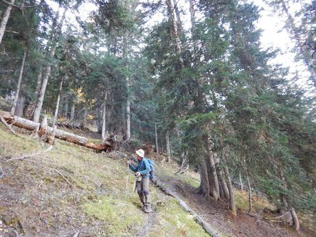 Ruta a los Prats de Clavera y al Bosc de Bonabé desde la Borda de Perosa