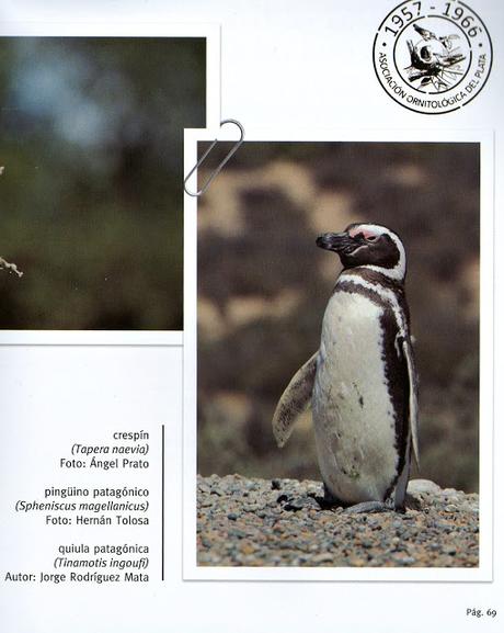 Libros del centenario de Aves Argentinas