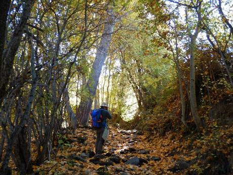 Ruta Tírvia - Montesclado - Tírvia. Pallars Sobirà