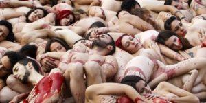 Animalistas y sus equivocadas actuaciones a favor de los animales #animalistas