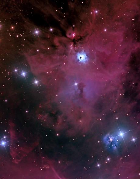✨Campo amplio de NGC 1999