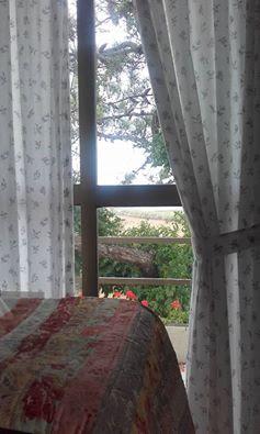 El cálido invierno. El cálido invierno.