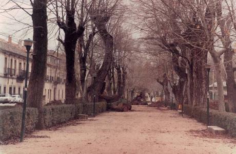 Un Olmo, Mil Historias Un Olmo, Mil Historias