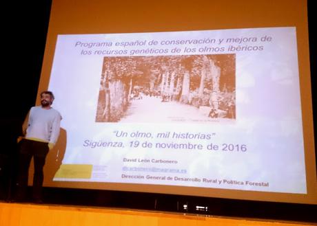 Un Olmo, Mil Historias Un Olmo, Mil Historias