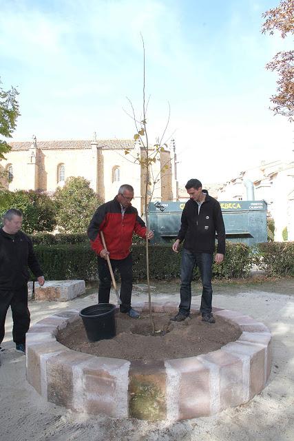 Un Olmo, Mil Historias Un Olmo, Mil Historias