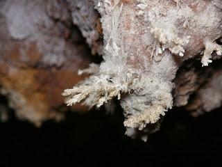 Exploradas nuevas cavidades en la Sierra de Cazorla Exploradas nuevas cavidades en la Sierra de Cazorla