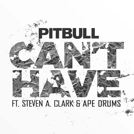 Nuevo single de Pitbull