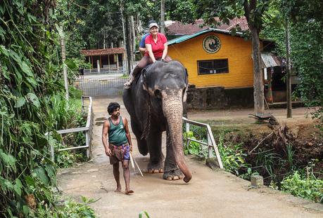 Paseando en elefante en Sri Lanka