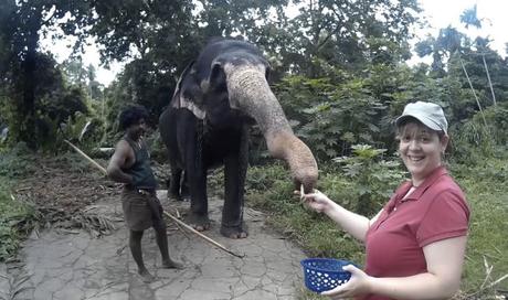 Paseando en elefante en Sri Lanka