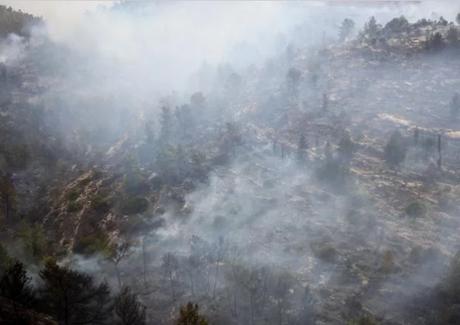Pavoroso incendio en Israel. blog.jpg
