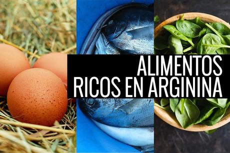 La arginina forma parte de las proteínas y participa en p...