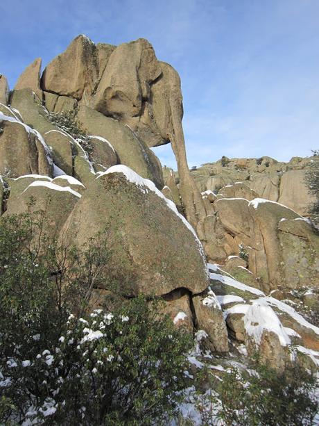 ELEFANTES EN LA PEDRIZA