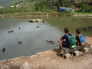 Ruta de los Molinos de Lucena del Cid