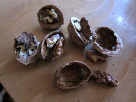 Coliflor gratinada con bechamel de calabacín coliflor-gratinada-con-bechamel-de-calabacin-08