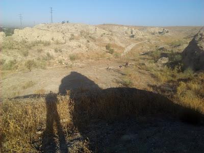 Principios para la construcción y el desarrollo Principios para la construcción y el desarrollo