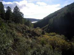 El barranco de la Hoz en La Mierla 161128-bco-hoz-4