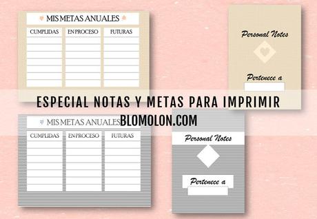 especial-notas-y-metas-para-imprimir