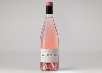 Bodegas y Viñedos Godelia respeto por la naturaleza y pasión por el buen vino foto-2-gode