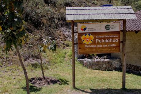 ¿Cuántas mitades del mundo puedes contar en un solo país?