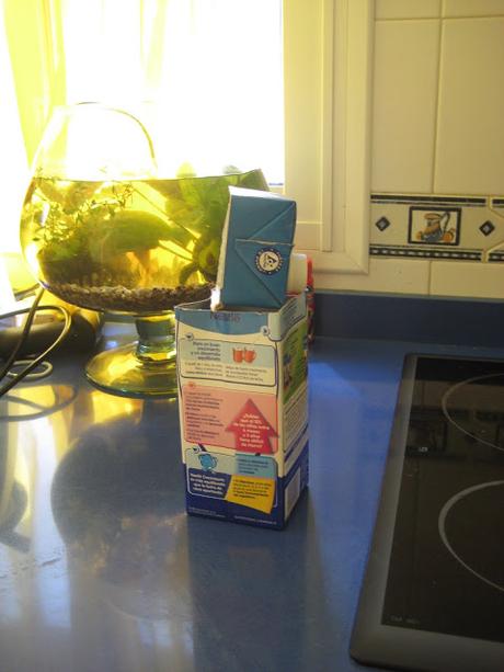 DYD reutilizando brik DYD reutilizando brik