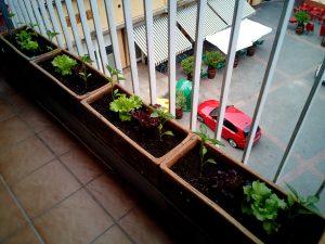 Un huerto pequeño ¿será suficiente para autoabastecerme? 04 huerto pequeño macetas