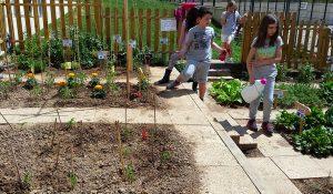 Un huerto pequeño ¿será suficiente para autoabastecerme? 08 huerto pequeño ecolar