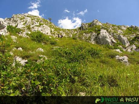 Ruta al PICO PONDIU (993 m.) desde SELLAÑU Inicio de la subida a la cima del Pondio