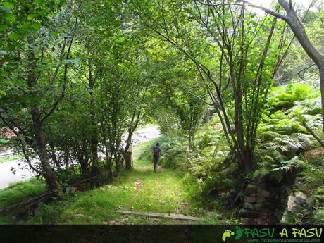 Ruta al PICO PONDIU (993 m.) desde SELLAÑU Saliendo a la carretera tras finalizar la pista de Tobao