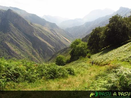 Ruta al PICO PONDIU (993 m.) desde SELLAÑU Pista bajando por el valle de Tobao