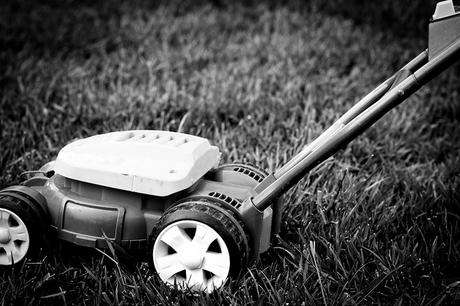 Post mortem - Peter Terrin Post mortem - Peter Terrin