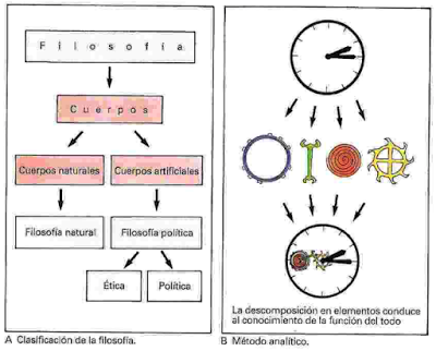 La teoría del conocimiento de Hobbes La teoría del conocimiento de Hobbes
