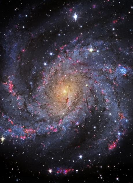 ✨Fuegos artificiales en NGC 6946