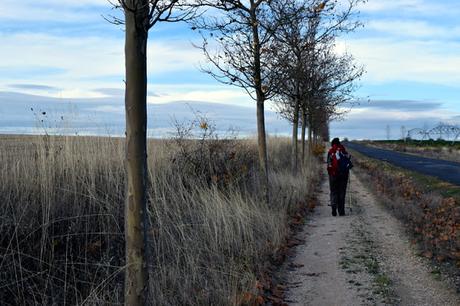 Jornada de limpieza del Camino de Santiago 2016