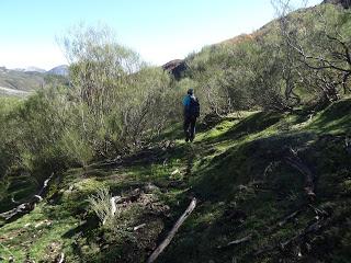 Por las camperas y mayaos del Puerto Braña